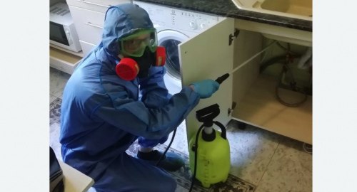 Уничтожение муравьев в квартире. Сасово