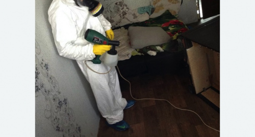 Обработка квартир от насекомых в Сасово