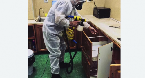 Дезинсекция квартиры. Сасово