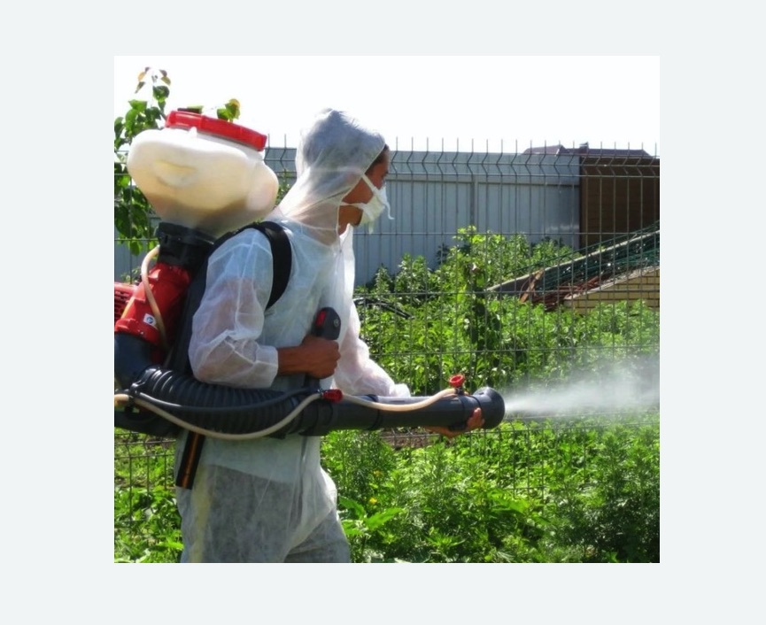 Акарицидная обработка территории в Сасово