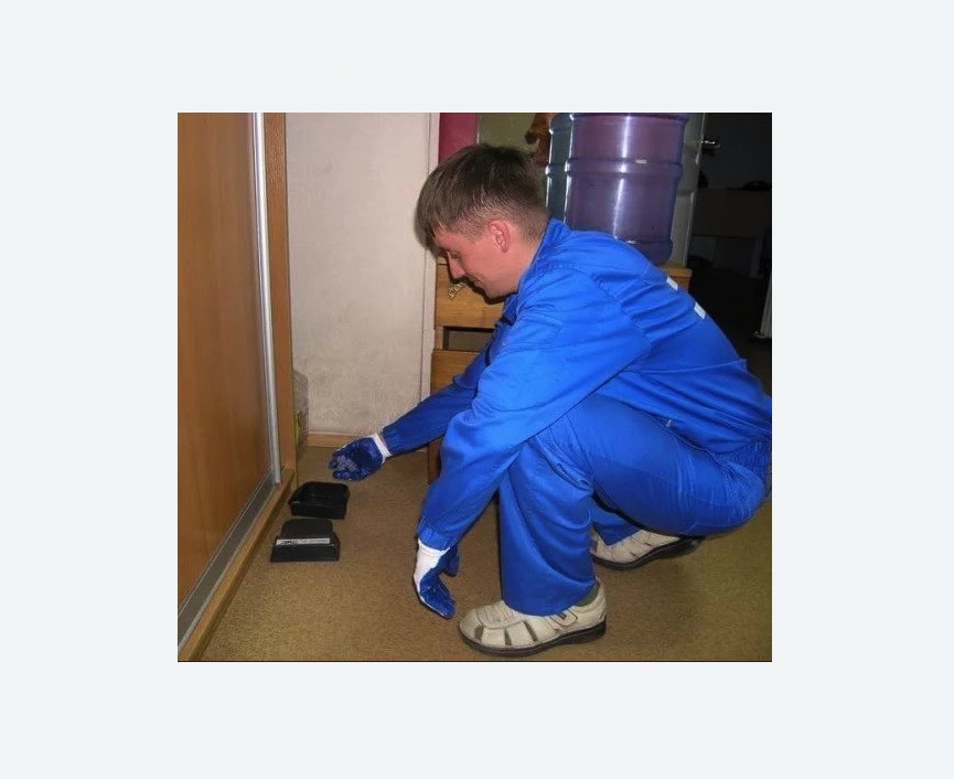 Дератизация крыс в Сасово