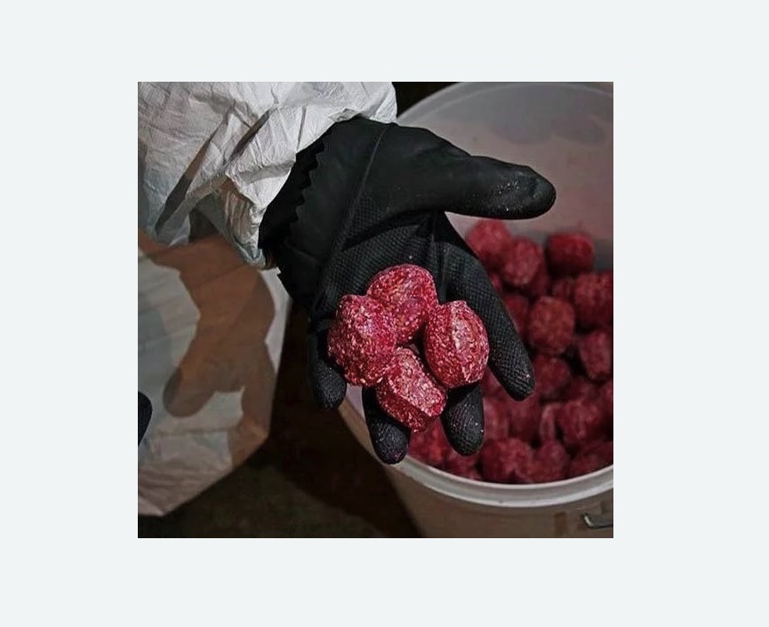 Обработка от крыс в Сасово