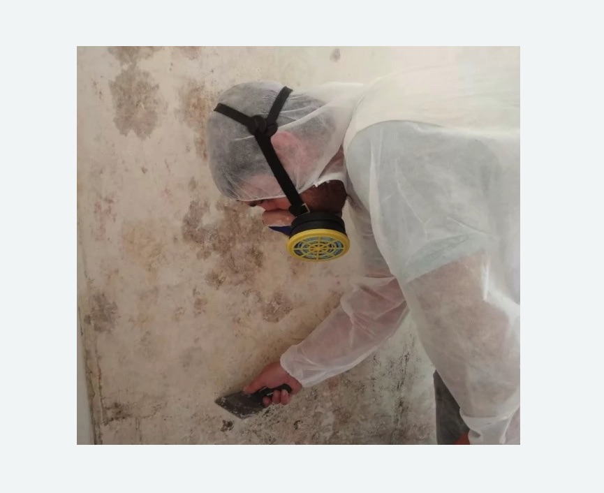 Обработка стен от плесени в Сасово