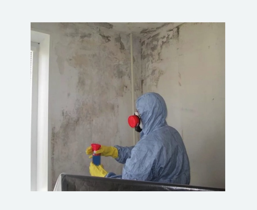 Удаление плесени в квартире в Сасово