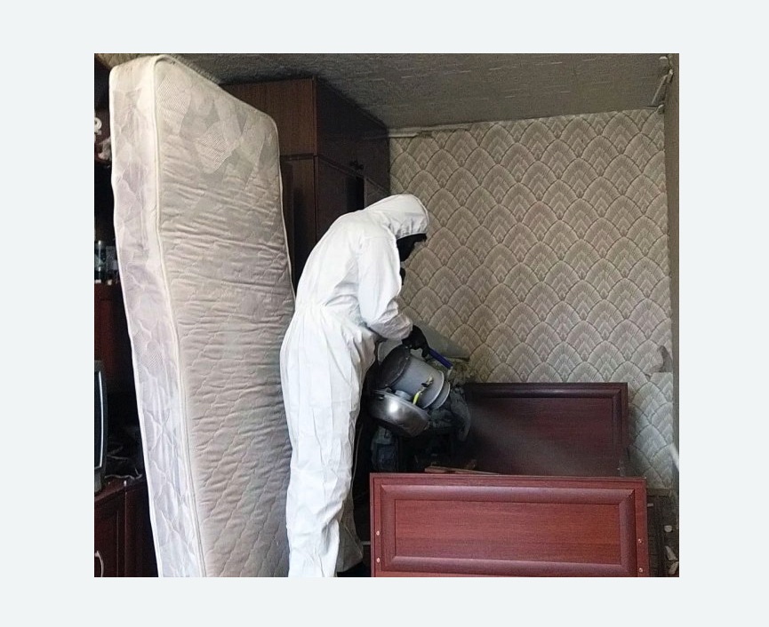 дезинфекция от клопов в Сасово