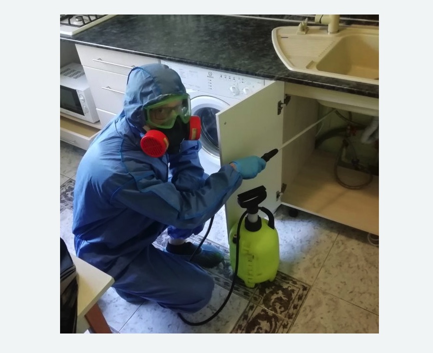 обработка от муравьев в квартире в Сасово