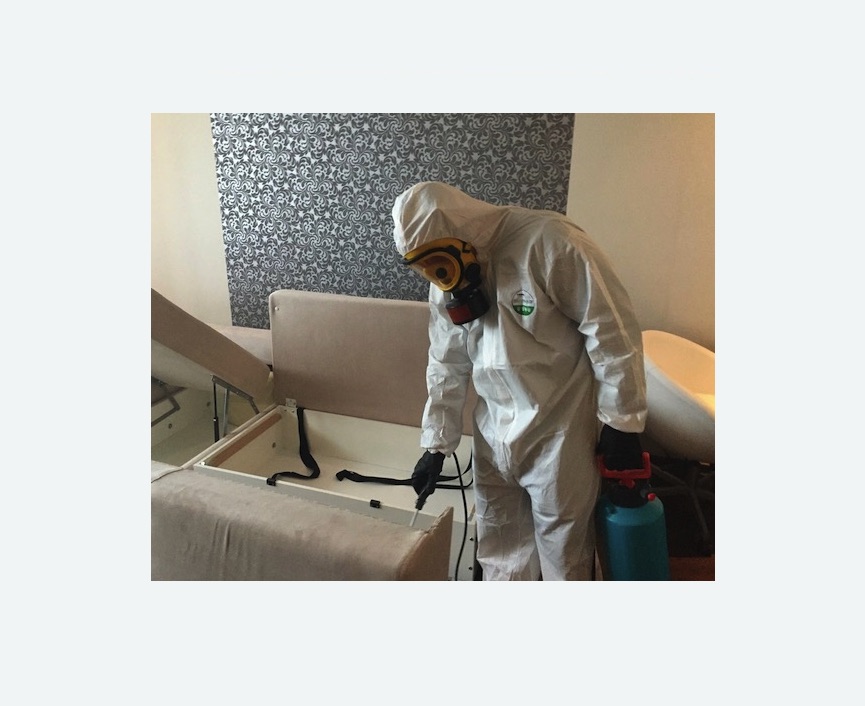 уничтожение клопов в квартире в Сасово