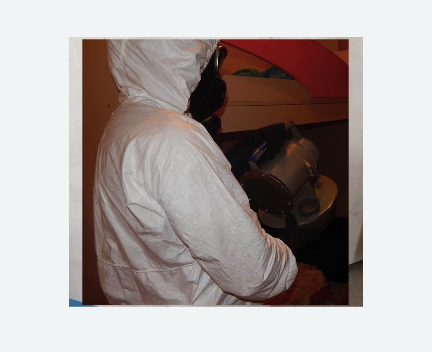 Дезинфекция от муравьев в Сасово