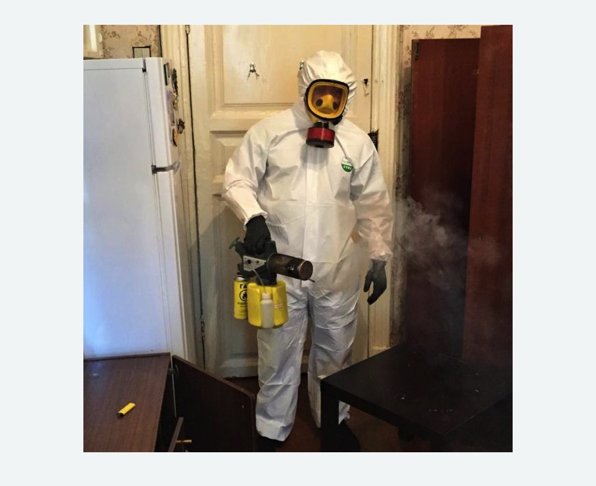 уничтожение муравьев в квартире в Сасово